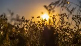 Zachód słońca nad jeziorem Gawlik - zdjęcie 40