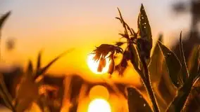 Zachód słońca nad jeziorem Gawlik - zdjęcie 24