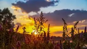 Zachód słońca nad jeziorem Łękuk - zdjęcie 33