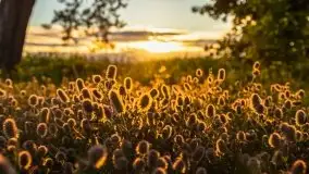 Zachód słońca, plaża Bogacko, jezioro Dejguny - zdjęcie 4