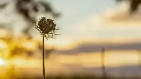 Zachód słońca, plaża Bogacko, jezioro Dejguny - zdjęcie 40