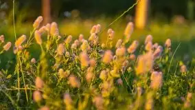 Zachód słońca, plaża Bogacko, jezioro Dejguny - zdjęcie 20