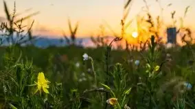 Zachód Słońca nad kanałem Jeglińskim - zdjęcie 37