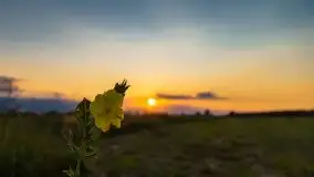 Zachód Słońca nad kanałem Jeglińskim - zdjęcie 46