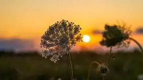 Zachód Słońca nad kanałem Jeglińskim - zdjęcie 49