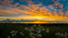 Miłośnicy Mazur - fotografie Stanisława Sielewicza - zdjęcie 2