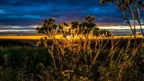 Miłośnicy Mazur - fotografie Stanisława Sielewicza - zdjęcie 18