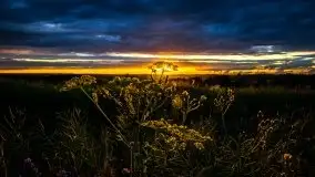 Miłośnicy Mazur - fotografie Stanisława Sielewicza - zdjęcie 20