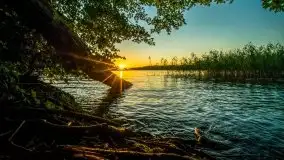 Lipcowe Mazury według Staszka Sielewicza - zdjęcie 14