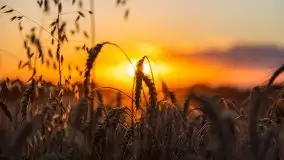 Zachód słońca w Wilkaskach - zdjęcie 3