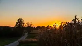 Zachód słońca w Wilkaskach - zdjęcie 15