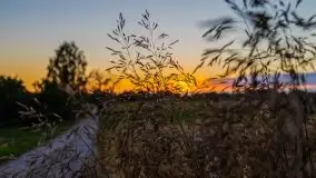 Zachód słońca w Wilkaskach - zdjęcie 24