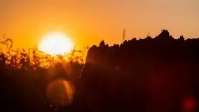 Jezioro Ryńskie, Zatoka Mrówcza - zdjęcie 16