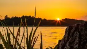 Jezioro Ryńskie, Zatoka Mrówcza - zdjęcie 28