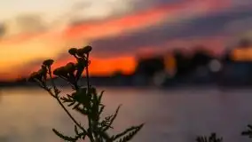 Zachód słońca, Ekomarina Giżycko, sierpień 2020 - zdjęcie 18