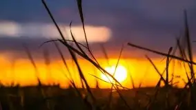 Zachód Słońca przy miejscowości Sterławki, sierpień 2020 r. - zdjęcie 24