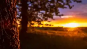 Zachód Słońca przy miejscowości Sterławki, sierpień 2020 r. - zdjęcie 30