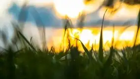 Zachód słońca nad jeziorem Ławki, wrzesień 2020 r. - zdjęcie 22