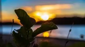 Zachód słońca nad jeziorem Kisajno - zdjęcie 15