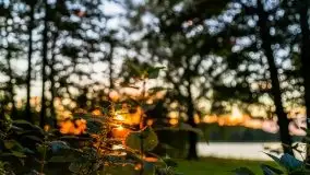 Zachód słońca nad jeziorem Kisajno - zdjęcie 21