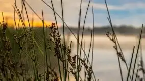 Wschód słońca nad jeziorem Pozezdrze - zdjęcie 17