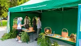 I Mazurski Maraton Rolkowy, wrzesień 2020 - zdjęcie 129