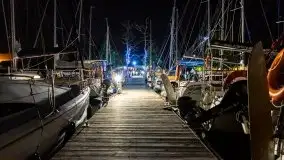 Nocne Tło Dla Mew, wrzesień 2020 r. - zdjęcie 13