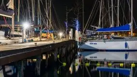 Nocne Tło Dla Mew, wrzesień 2020 r. - zdjęcie 24