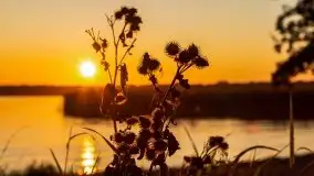 Zachód słońca nad jeziorem Niegocin - zdjęcie 13