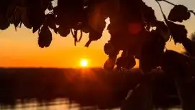 Zachód słońca nad jeziorem Niegocin - zdjęcie 37