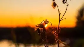 Zachód słońca nad jeziorem Niegocin - zdjęcie 32