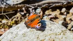 W poszukiwaniu jesieni na Mazurach - zdjęcie 26