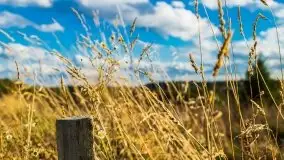 W poszukiwaniu jesieni na Mazurach - zdjęcie 29