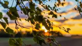 W poszukiwaniu jesieni na Mazurach - zdjęcie 49