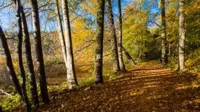 Piękna polska, mazurska złota jesień... rok temu - zdjęcie 10