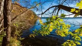 Piękna polska, mazurska złota jesień... rok temu - zdjęcie 12