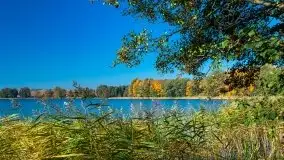 Jesień na mazurskich bezdrożach, 2019 - zdjęcie 8