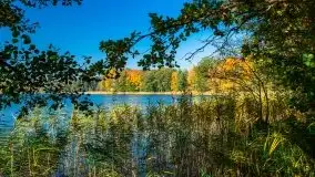 Jesień na mazurskich bezdrożach, 2019 - zdjęcie 14