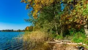 Jesień na mazurskich bezdrożach, 2019 - zdjęcie 21