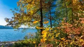 Jesień na mazurskich bezdrożach, 2019 - zdjęcie 4