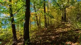 Jesień na mazurskich bezdrożach, 2019 - zdjęcie 17