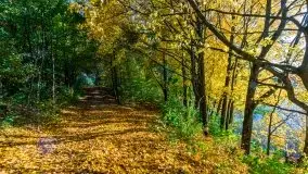 Jesień na mazurskich bezdrożach, 2019 - zdjęcie 22