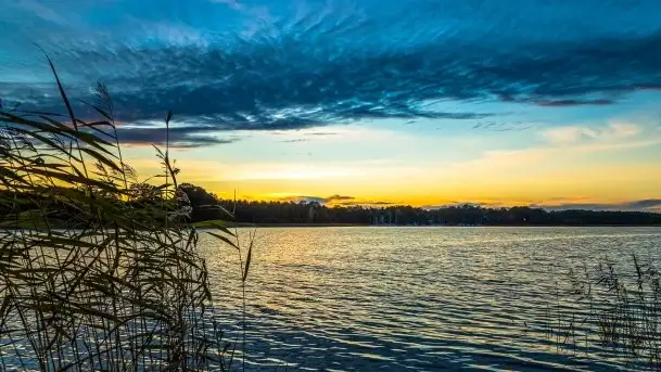 Zachód słońca widziany w zaroślach nad Niegocinem