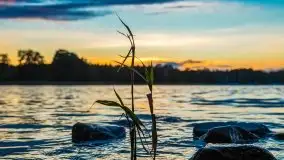 Zachód słońca widziany w zaroślach nad Niegocinem - zdjęcie 20