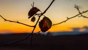 Wieczór i zachód słońca z mazurskiej drogi - zdjęcie 30