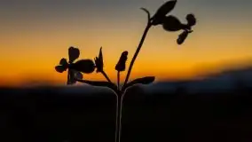 Wieczór i zachód słońca z mazurskiej drogi - zdjęcie 35