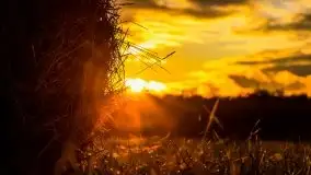 Zachód słońca nad mazurskimi polami, okolice wsi Sulimy - zdjęcie 1