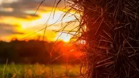 Zachód słońca nad mazurskimi polami, okolice wsi Sulimy - zdjęcie 25