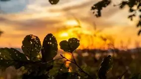 Wschód słońca, okolice i jezioro Kisajno, październik 2020 - zdjęcie 23