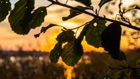 Wschód słońca, okolice i jezioro Kisajno, październik 2020 - zdjęcie 21